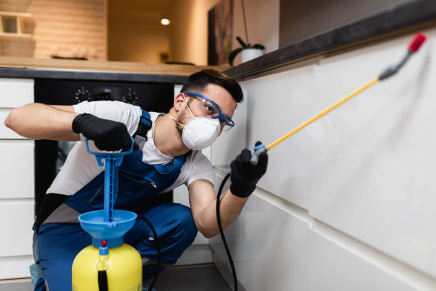 Best Mosquito Control Services  in Russell, GA