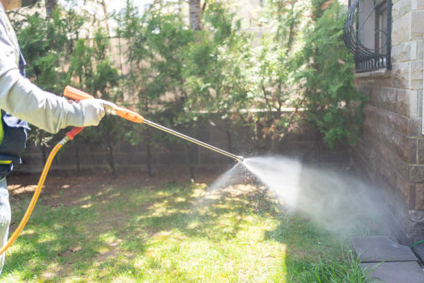 Bird Control in Russell, GA