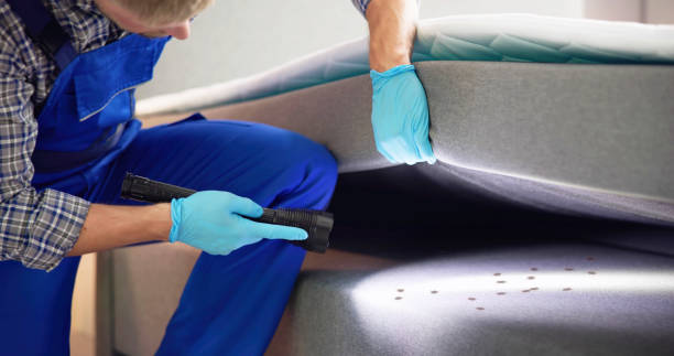 Trusted Russell, GA Pest Control Experts
