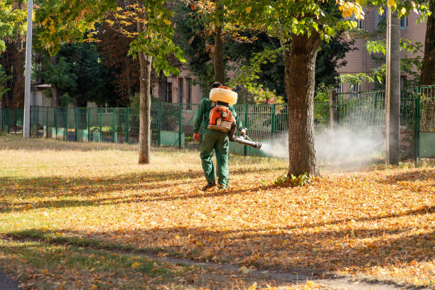 Best Mosquito Control Services  in Russell, GA