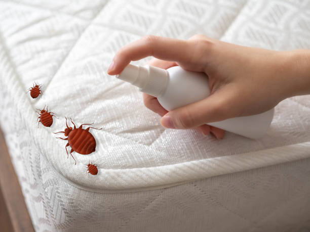 Best Affordable Pest Control Services  in Russell, GA